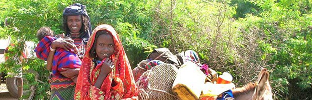SIM nomads picture