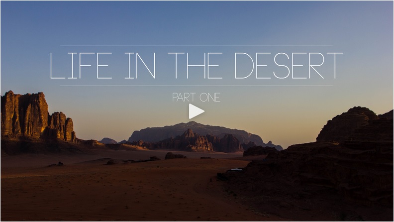 Life in the Desert