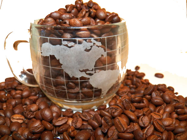 coffee-beans-1364324519tbO