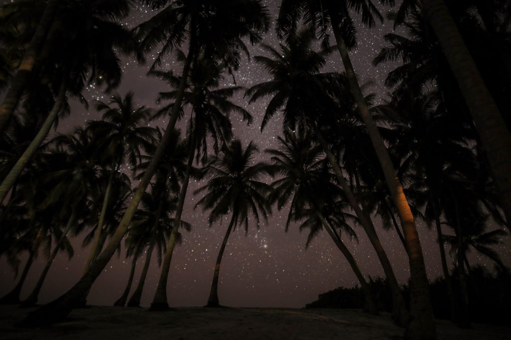 Maldives night