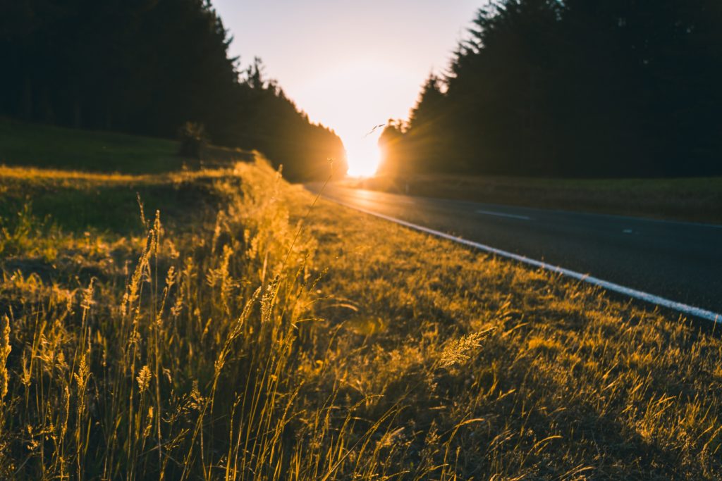 daniel-chen-193019-unsplash