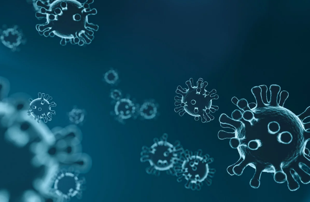 coronavirus 3